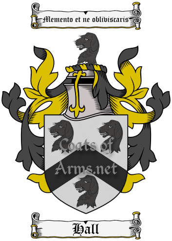 Hall (English) Ancient Coat of Arms (Family Crest) Digital Image Download