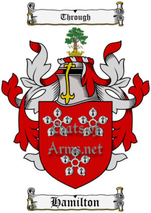 Hamilton (Scottish) Ancient Surname Coat of Arms (Family Crest) Image Download