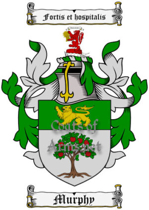 Murphy (Wexford, Ireland) Ancient Surname Coat of Arms (Family Crest) Digital Image Download