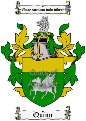Quinn (Irish) Ancient Surname Coat of Arms (Family Crest) Image Download