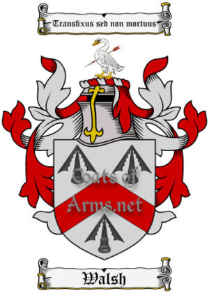 Walsh (Irish) Ancient Surname Coat of Arms (Family Crest) Image Download