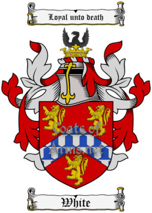 White (English) Ancient Surname Coat of Arms (Family Crest) Image Download
