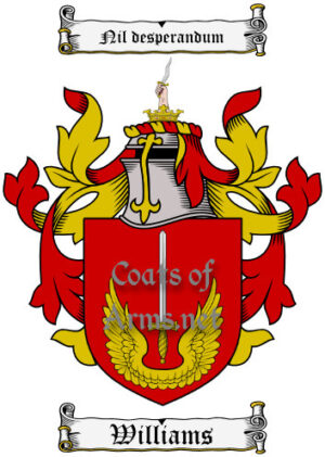 Williams (Irish) Ancient Surname Coat of Arms (Family Crest) Image Download