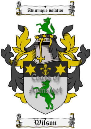 Wilson (Irish) Ancient Surname Coat of Arms (Family Crest) Image Download